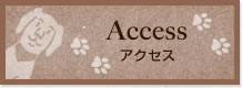 アクセス